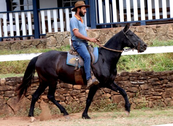 NONADA DO ACURUÍ