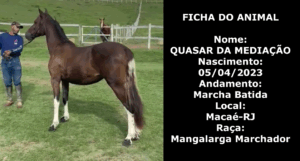 QUASAR DA MEDIAÇÃO