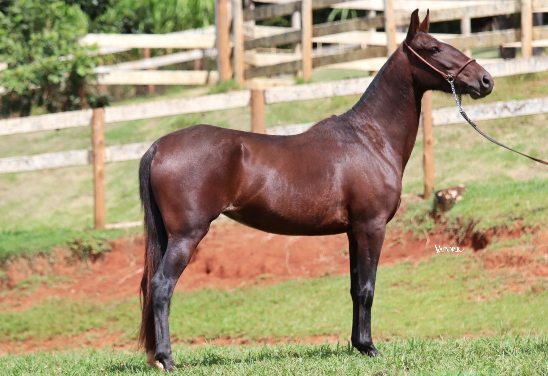 RESTINGA DO REFÚGIO