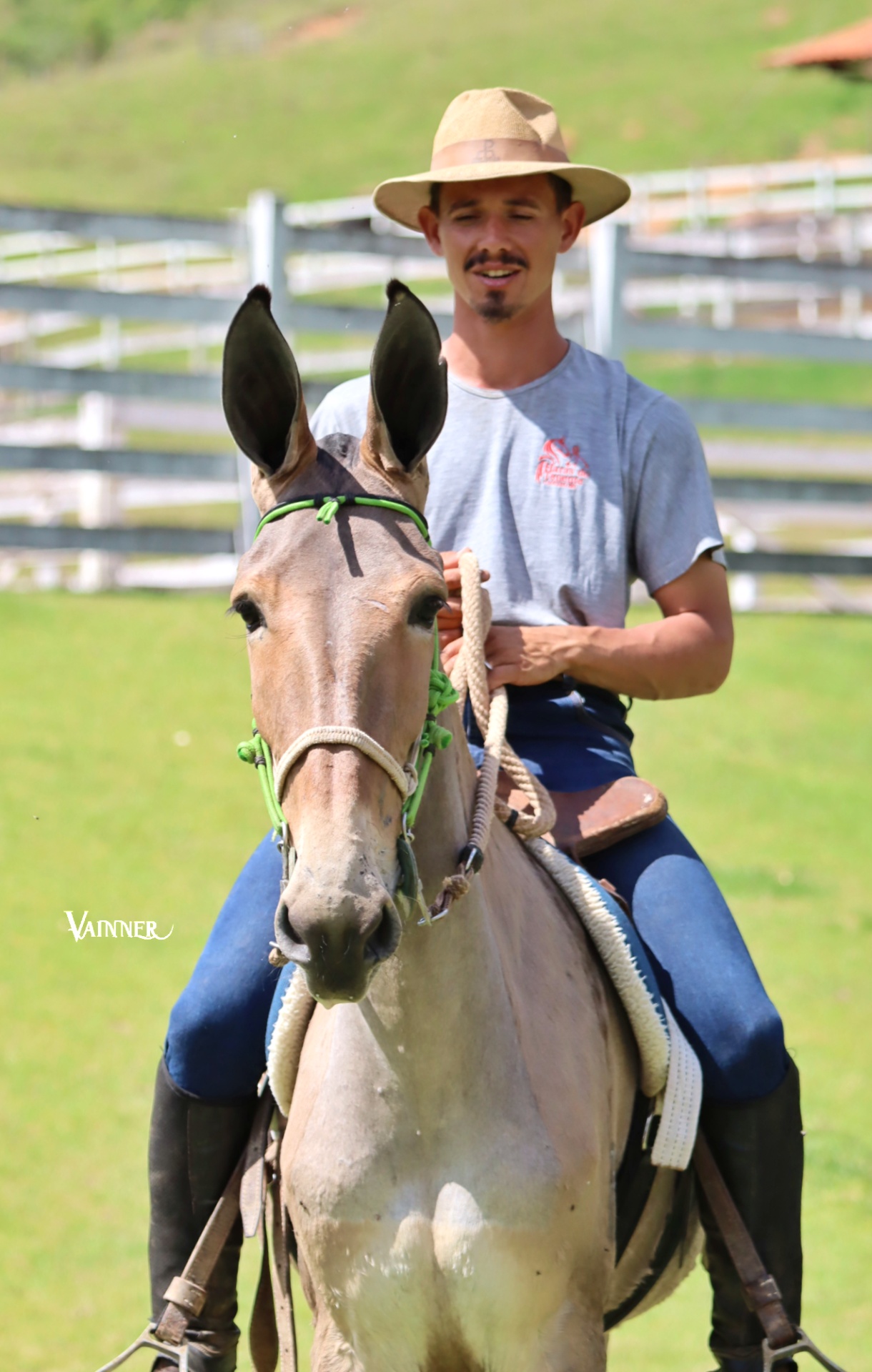 GIN DO TENENTE - Imagem 3