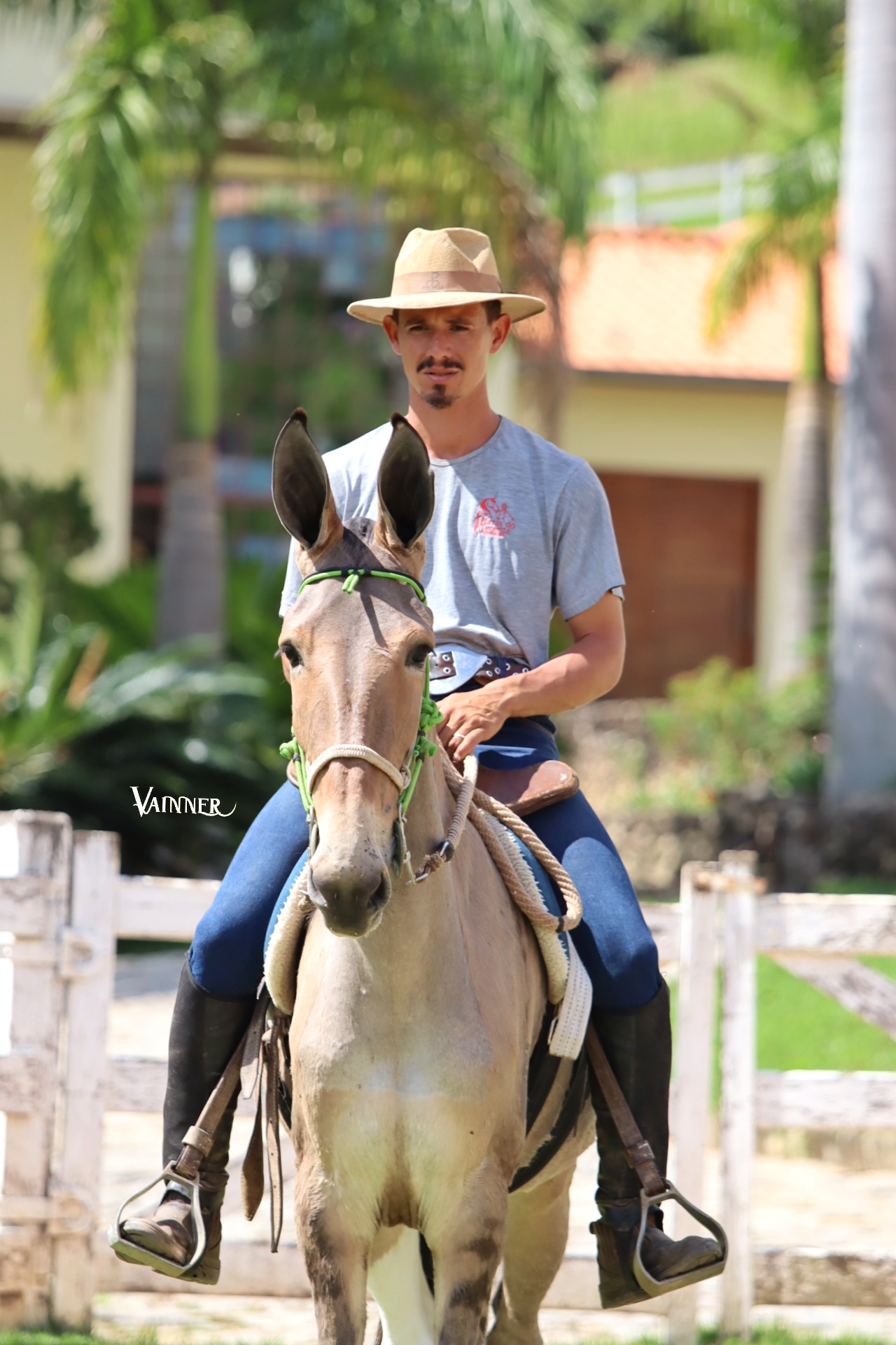 GIN DO TENENTE - Imagem 4