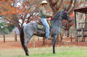 RECATO DA VARZEA BONITA