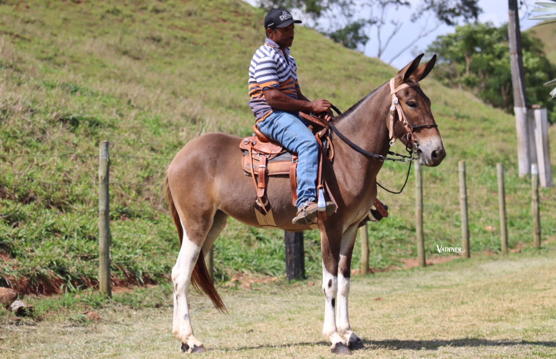 BONECA TROPA DA CICI - Imagem 4