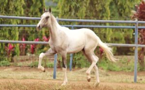 GUATAPARÁ DA ESPERANÇA