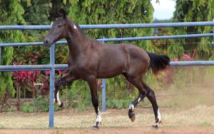 RECORTE DA ESPERANÇA