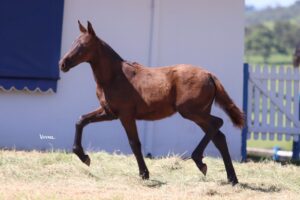 QUÍMICA RECANTO DAS PEDRAS