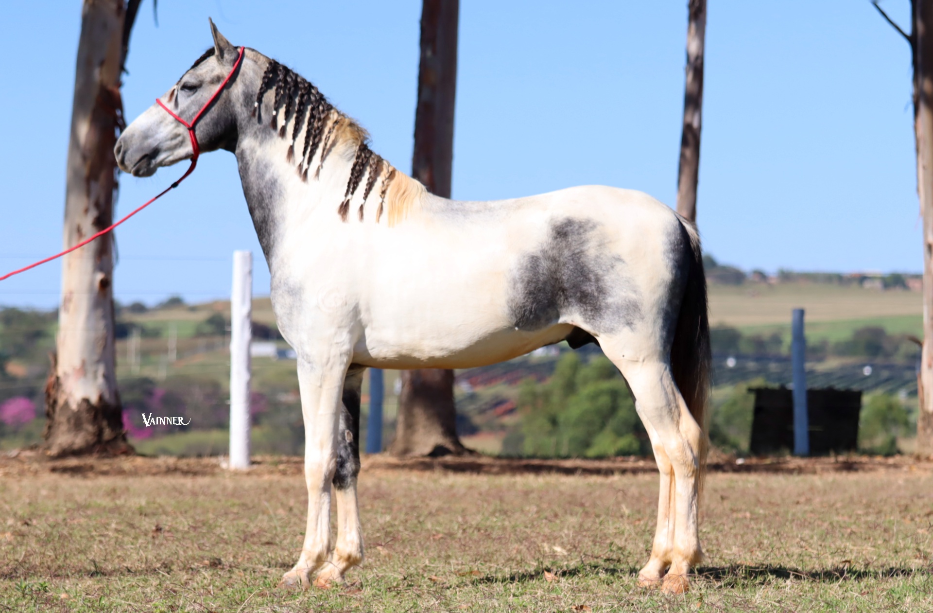 KODA LUAR DE MINAS