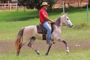 NOBRE HOC